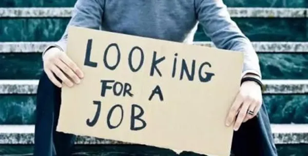 ������Ƹ2026�ٷ�����