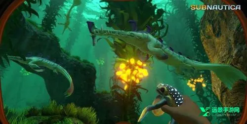 ��Ժ��������ΰ�