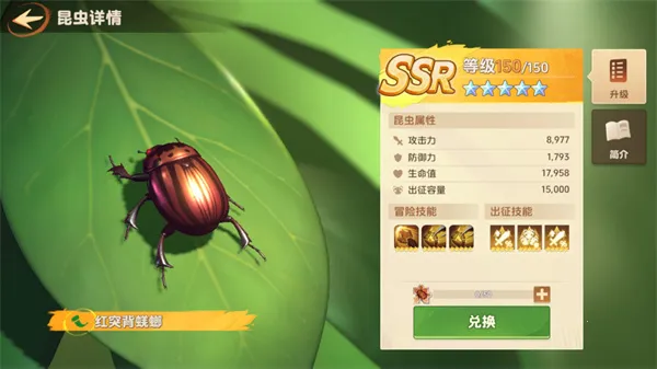 СС�Ҵ������°�