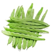 С�˶�2026���ذ�װv4.1 ��׿��