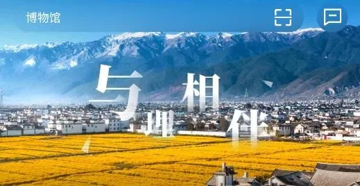 ����app2026���°汾