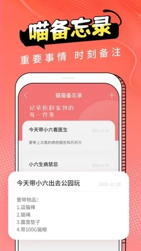 Cat Translation2026�ٷ����°汾v3.1.5 ��Ѱ��ͼ