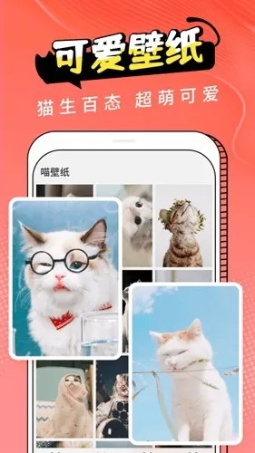 Cat Translation2026�ٷ����°汾v3.1.5 ��Ѱ��ͼ