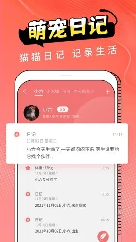 Cat Translation2026�ٷ����°汾v3.1.5 ��Ѱ��ͼ