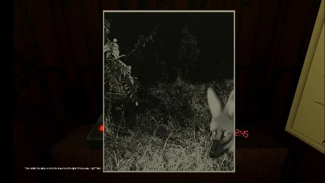 动物观察员恐怖游戏 动物观察员恐怖游戏