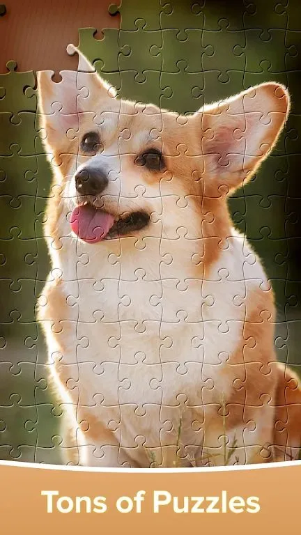 ƴͼ��Ϸ�󴳹ذ�׿���ֻ���v4.4.16 �ٷ������ͼ