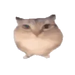 �ͰͲ�һ(δ�ἰ���Ĺ��ܵ�)v1.0 �ٷ�����