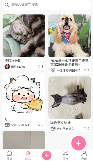 ��������(�������ƽ̨)