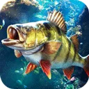 ���ֵ����ʦ2026�ٷ����°汾v1.0.0.206127 �ٷ�����