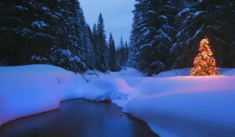 Ĵָ��ֽ2026���ذ�װ