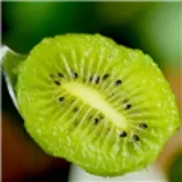 ��⨺���TV�����ֻ���v9.9.9 ��Ѱ�