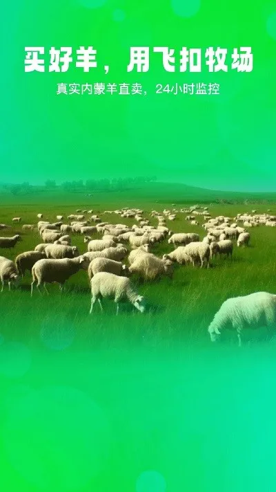 �ɿ۰�׿���ֻ���