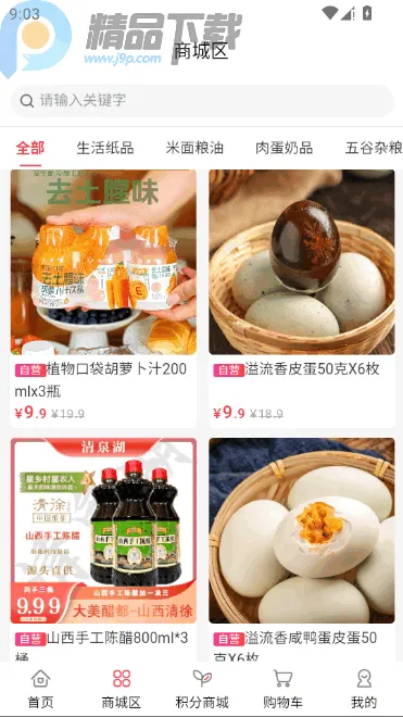 V���̳�2026���°汾