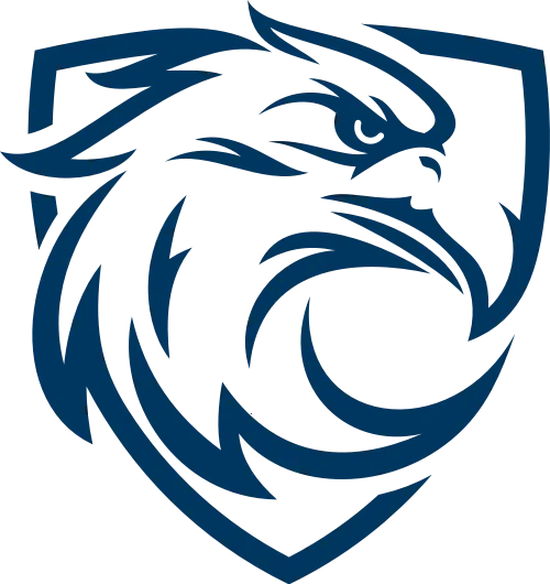 ��ӥ�ӽ�(Ӱ�Ӳ�������)v6.0.1 ��׿��