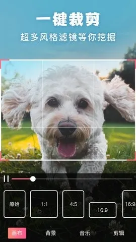 ����picsart��Ƭ�༭(��Ƭ�༭����)v19.8.63 ��Ѱ��ͼ