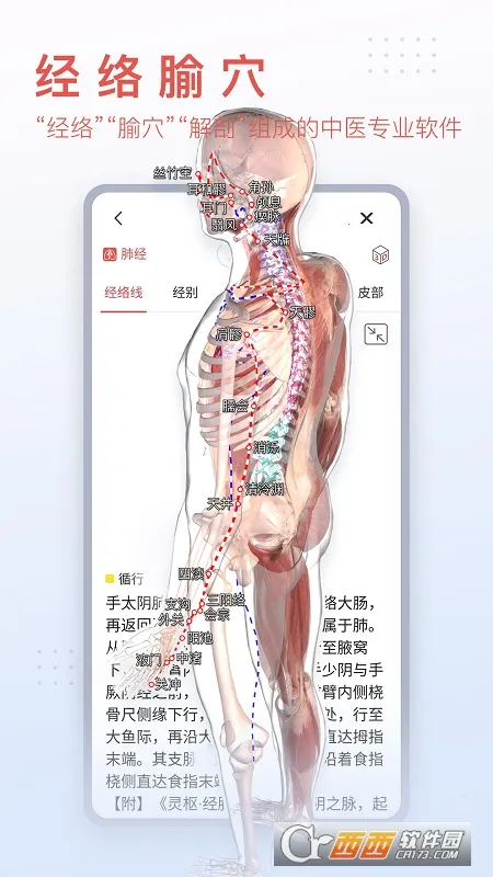 3dbody�������İ�v8.8.91 ��Ѱ��ͼ