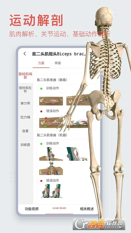 3dbody�������İ�v8.8.91 ��Ѱ��ͼ