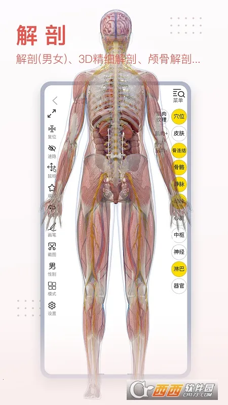 3dbody�������İ�v8.8.91 ��Ѱ��ͼ