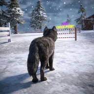 ��ģ���� 3D2026���ذ�װv1.0.6 ��׿��