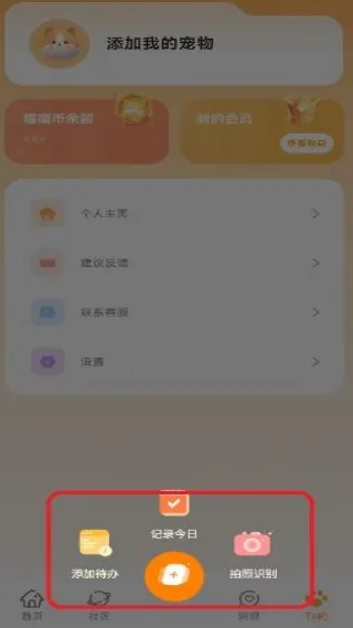 莫莫宠医