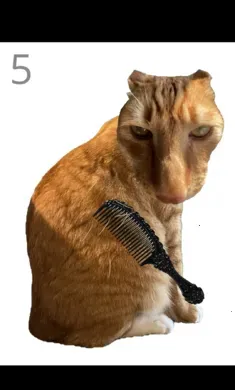 ��è��ë(è��ë������Ϸ)v1.0 �ٷ������ͼ