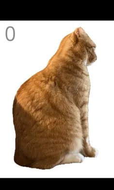 ��è��ë(è��ë������Ϸ)v1.0 �ٷ������ͼ