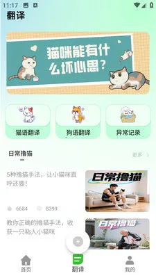PEPPYCATè��ռ�(è������Ӧ��)v3.0.0 �ֻ����ͼ