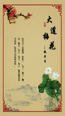 铁书生梅花(五行八卦排盘软件) 铁书生梅花(五行八卦排盘软件)