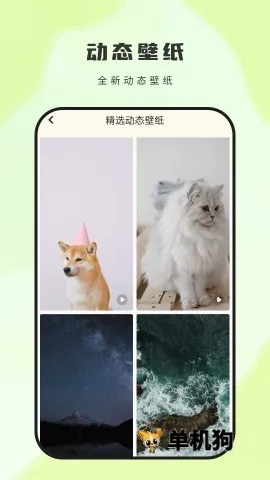 神图壁纸2026最新版本 神图壁纸2026最新版本