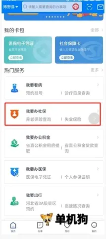 河北政务服务网(河北政务服务软件)