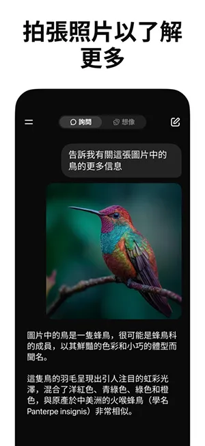 Grokж��(AI�Ի�����)v1.1.38 ��Ѱ��ͼ