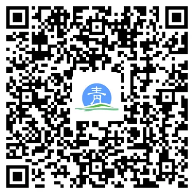 青松办(政务服务平台) 青松办(政务服务平台)