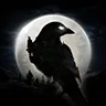 ҹѻ(ҹѻ��ɫ������Ϸ)v1.19.9 ��׿��