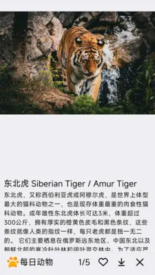 ÿ�ն��������ֻ���v1.0.0 ��Ѱ��ͼ