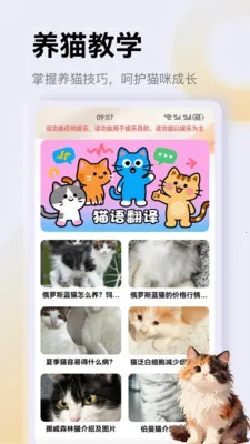 ����è��app�����ֻ���v1.4 ��׿���ͼ