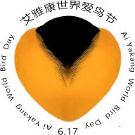 ��������(�����Ĵ�����)v1.0.0 ��Ѱ�