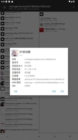 DY������2026�ٷ����°汾v1.0 �ٷ������ͼ