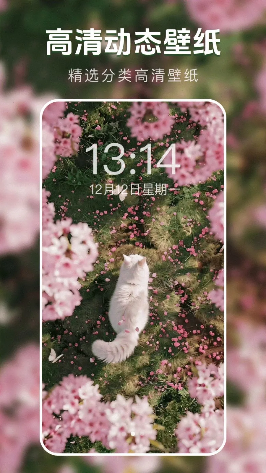 ��̬�����ֽ����׿���ֻ���v1.0.0 ��Ѱ��ͼ